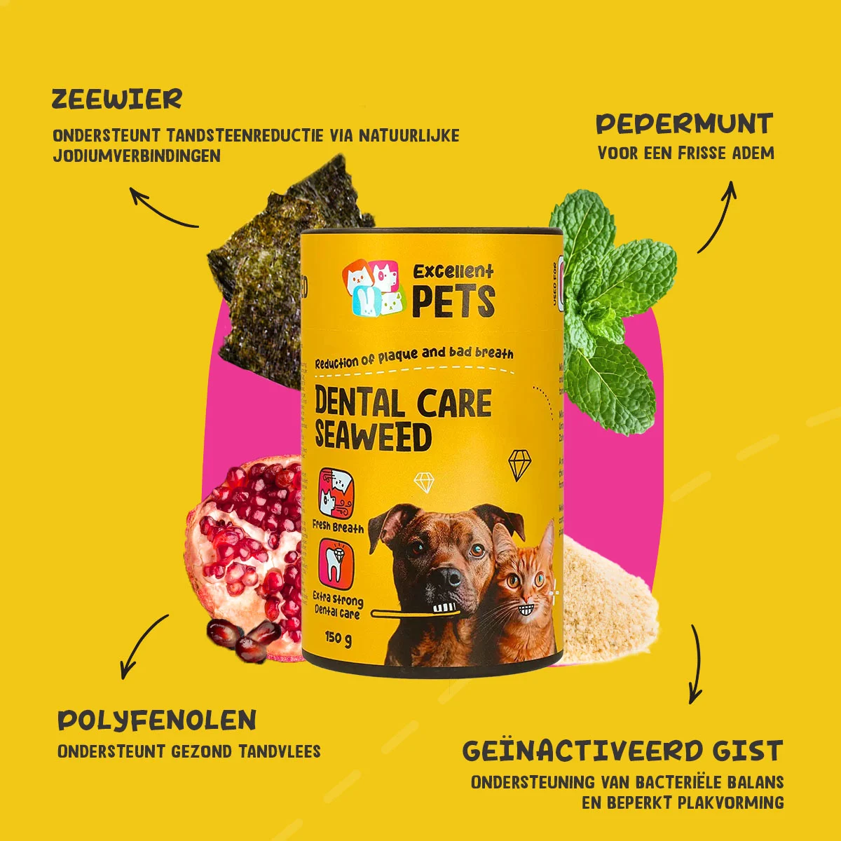 Complément alimentaire dentaire pour chiens et chats, 150 g – Excellent Pets Dental Care Seaweed – Image 5