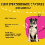 Gélules pour l’hygiène bucco dentaire des chiens, 90 unités – Excellent Pets Dental Oral Care Capsules – Image 4