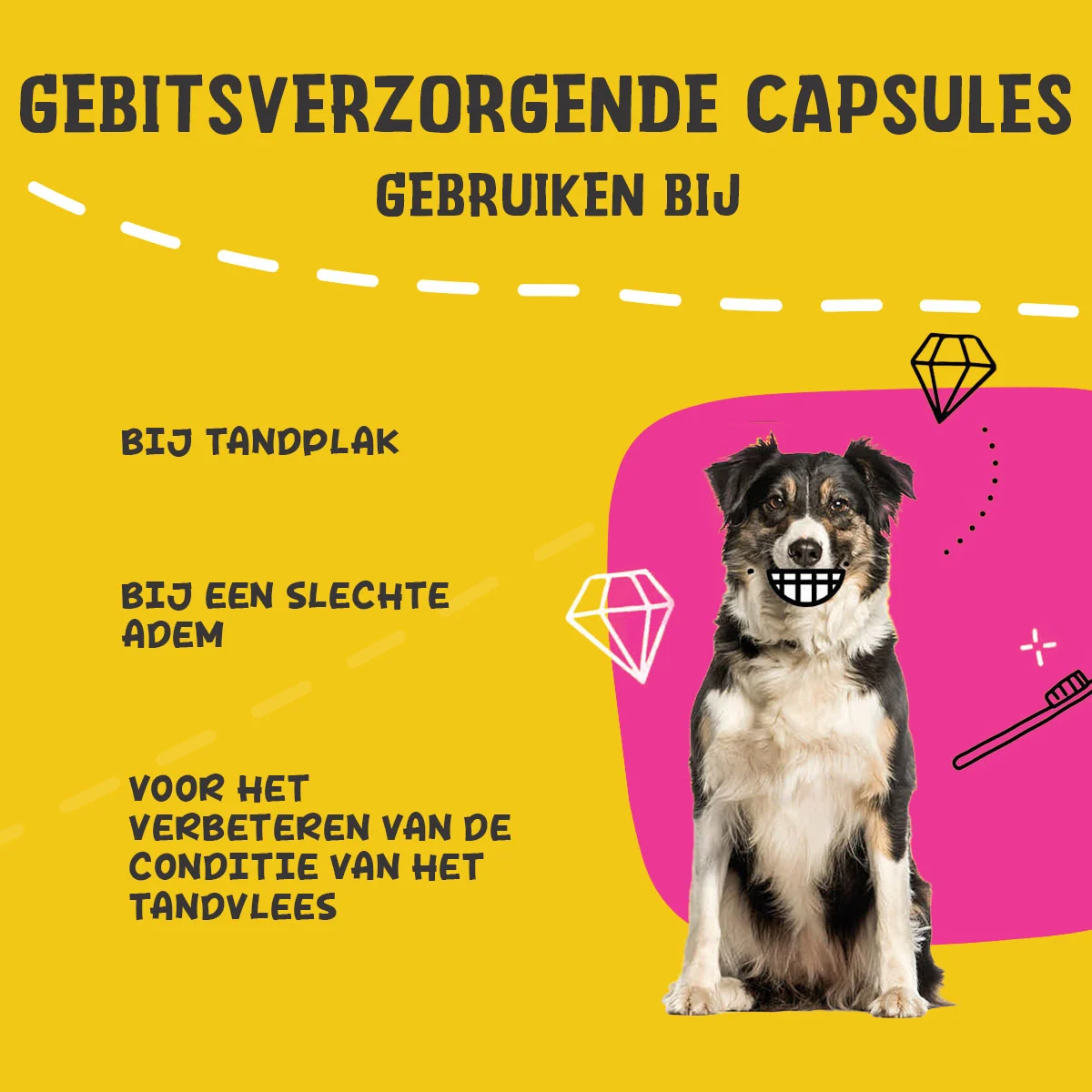 Gélules pour l’hygiène bucco dentaire des chiens, 90 unités – Excellent Pets Dental Oral Care Capsules – Image 4