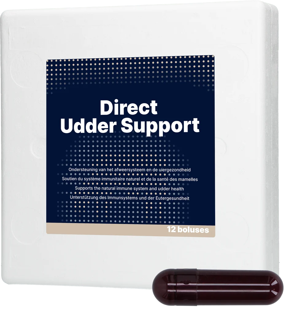 Bolus pour la mamelle des vaches laitières à l’ail noir, 12 x 60 g – Direct Bolus Udder Support – Image 1