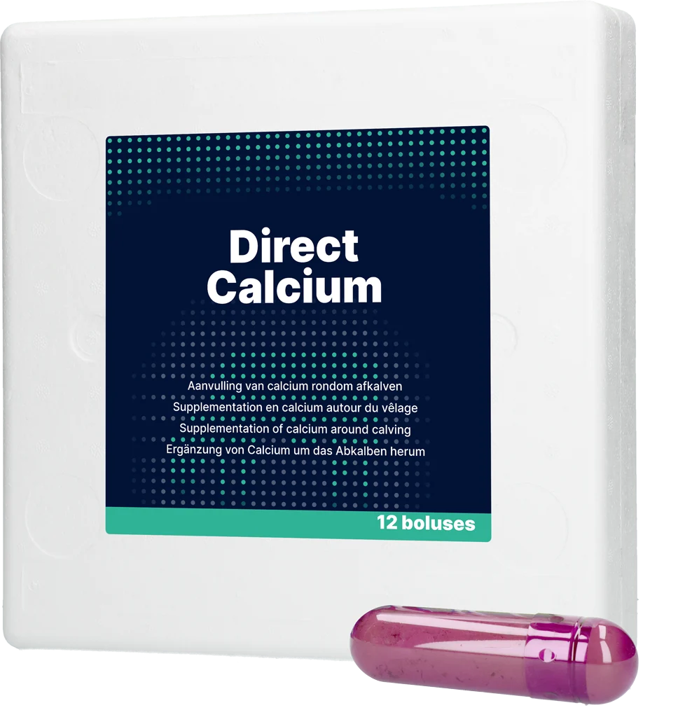 Bolus de calcium pour vaches laitières, 12 x 94 g – Direct Bolus Calcium – Image 1