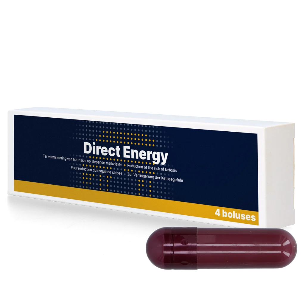 Bolus énergétique pour vaches laitières avec vitamines et minéraux, 4 x 67 g – Direct Bolus Energy – Image 1