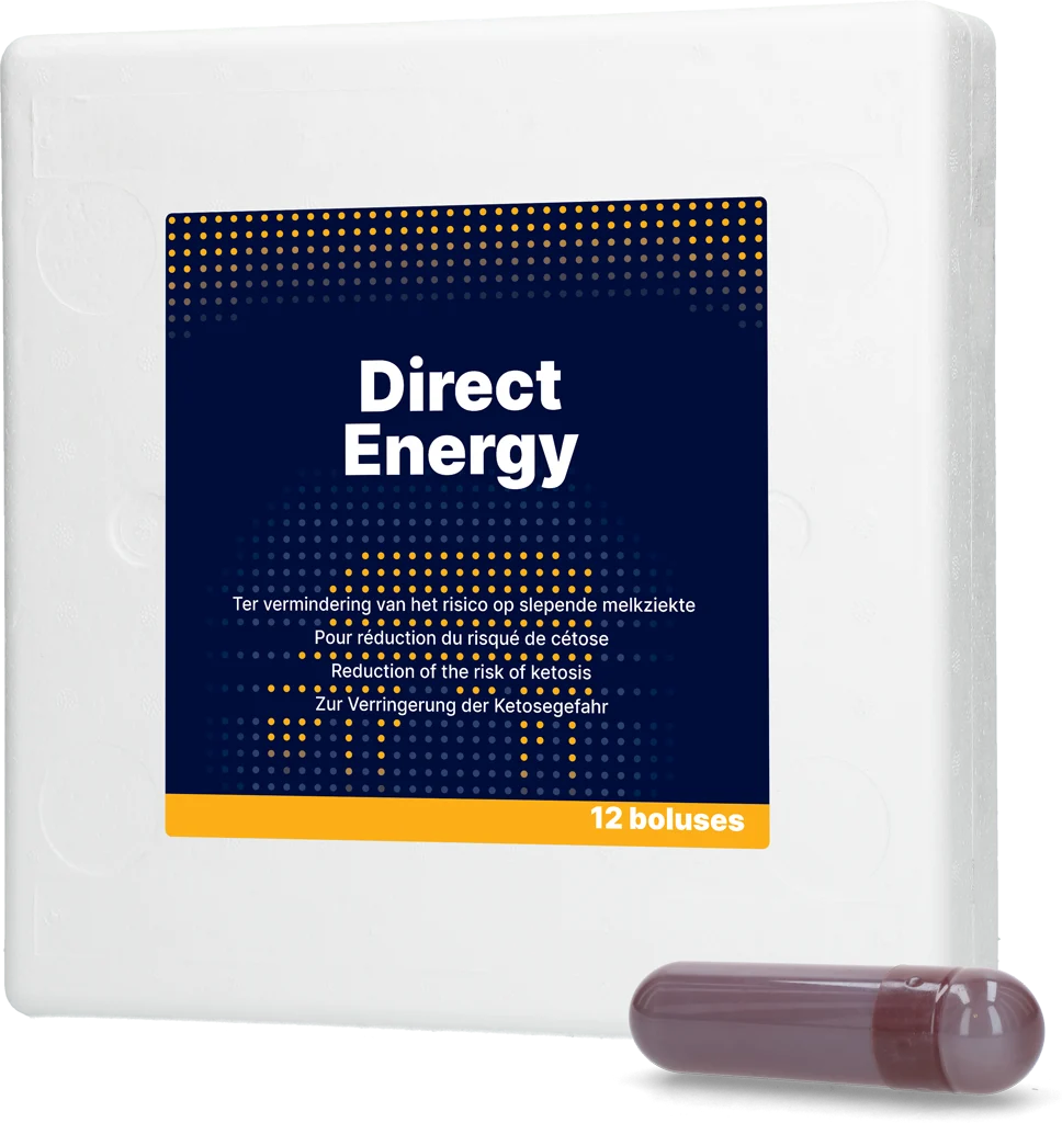 Bolus énergétique pour vaches laitières avec vitamines et minéraux, 12 x 67 g – Direct Bolus Energy – Image 1