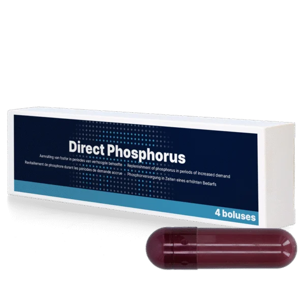 Bolus de phosphore pour vaches, 4 x 123 g – Direct Bolus Phosphorus