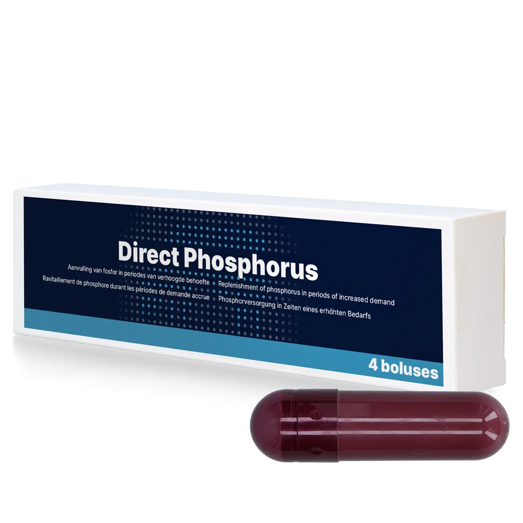 Bolus de phosphore pour vaches, 4 x 123 g – Direct Bolus Phosphorus – Image 1
