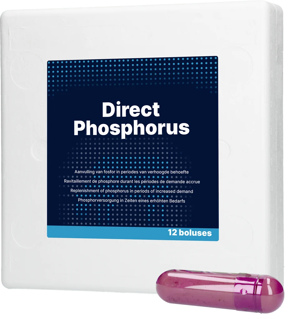 Bolus de phosphore pour vaches, 12 x 123 g – Direct Bolus Phosphorus – Image 1