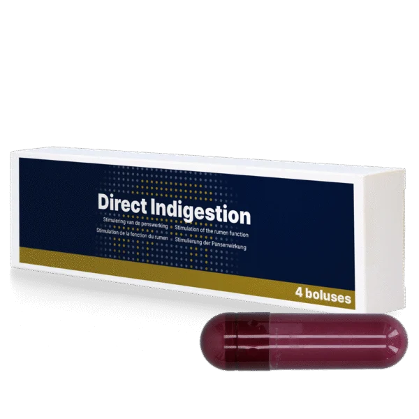 Bolus pour la rumination des bovins adultes, 4 x 76 g – Direct Bolus Indigestion