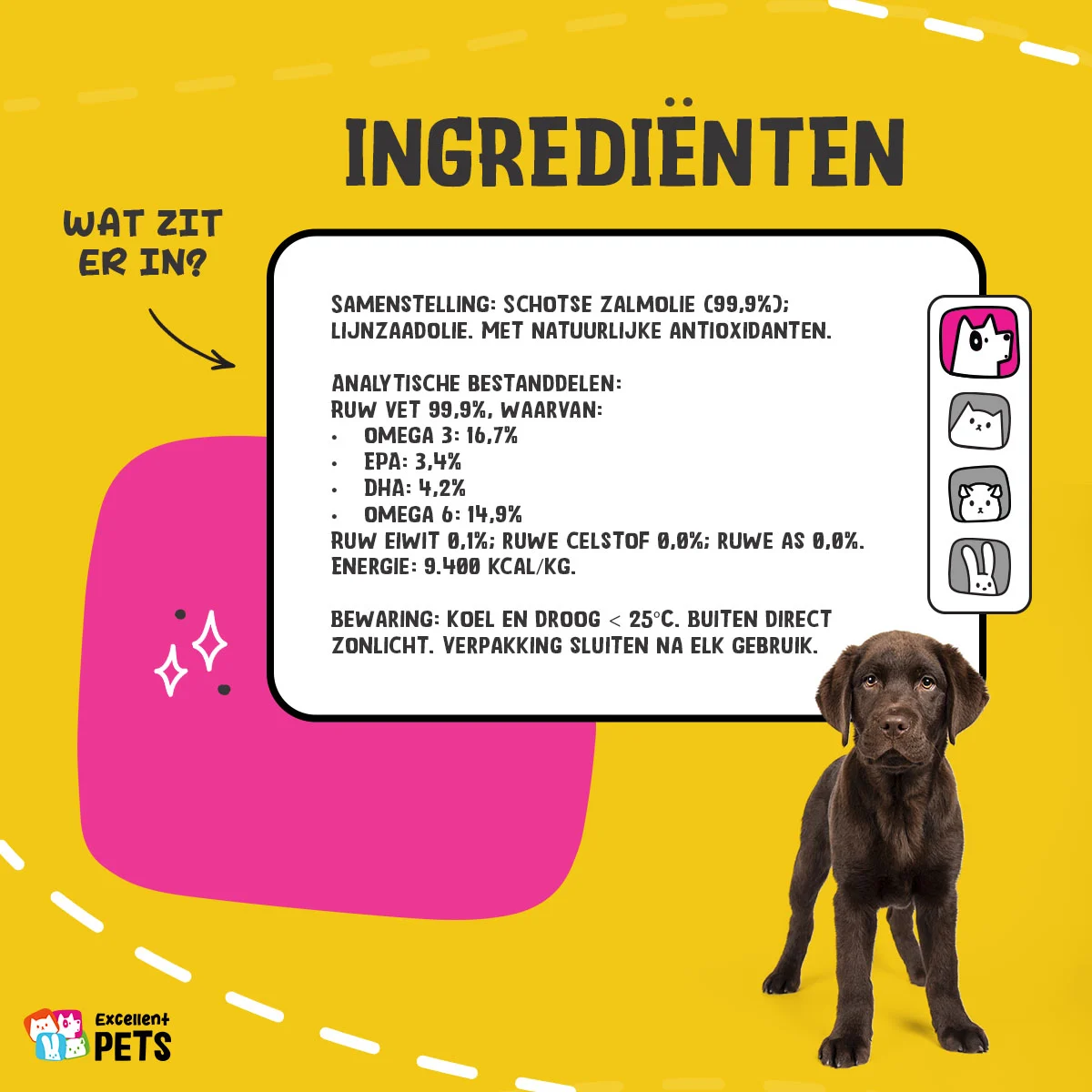 Huile de saumon pour chiens avec oméga 3 et 6, 250 ml – Excellent Pets Dog Salmon Oil – Image 5