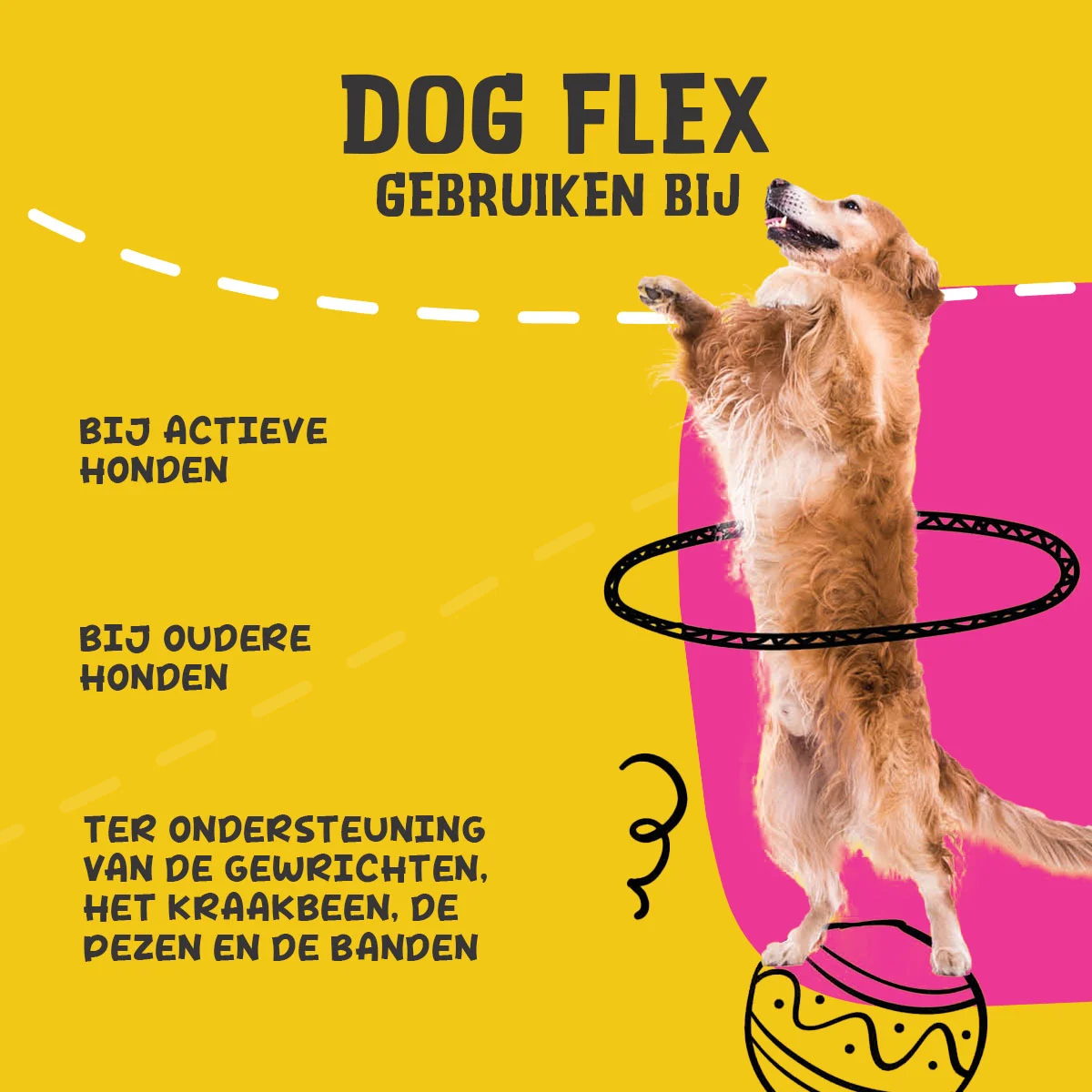 Complément articulaire liquide pour chiens, 250 ml – Excellent Pets Dog Flex – Image 6
