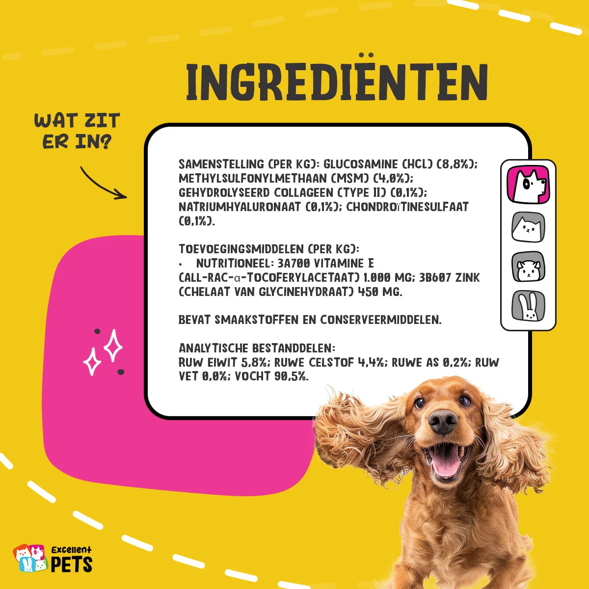 Complément liquide pour les articulations des chiens, 500 ml – Excellent Pets Dog Flex – Image 4