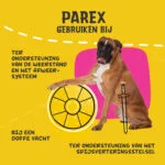 Complément pour chiens avec prébiotiques sous forme de bouchées, 90 g – Excellent Pets Dog Parex – Image 6