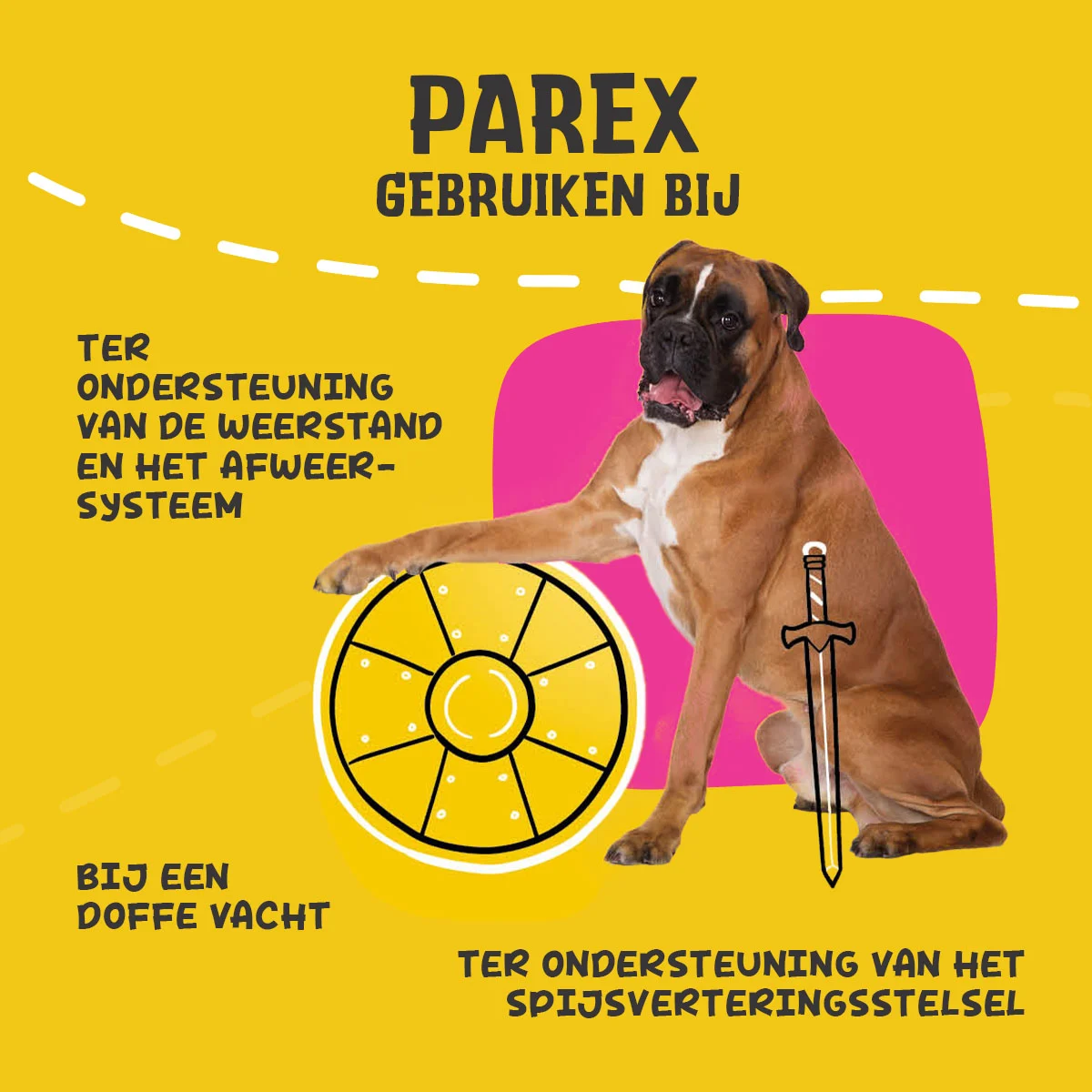 Complément pour chiens avec prébiotiques sous forme de bouchées, 90 g – Excellent Pets Dog Parex – Image 6
