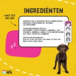 Complément liquide pour chiens avec vitamines, 50 ml – Excellent Pets Vital Total – Image 5
