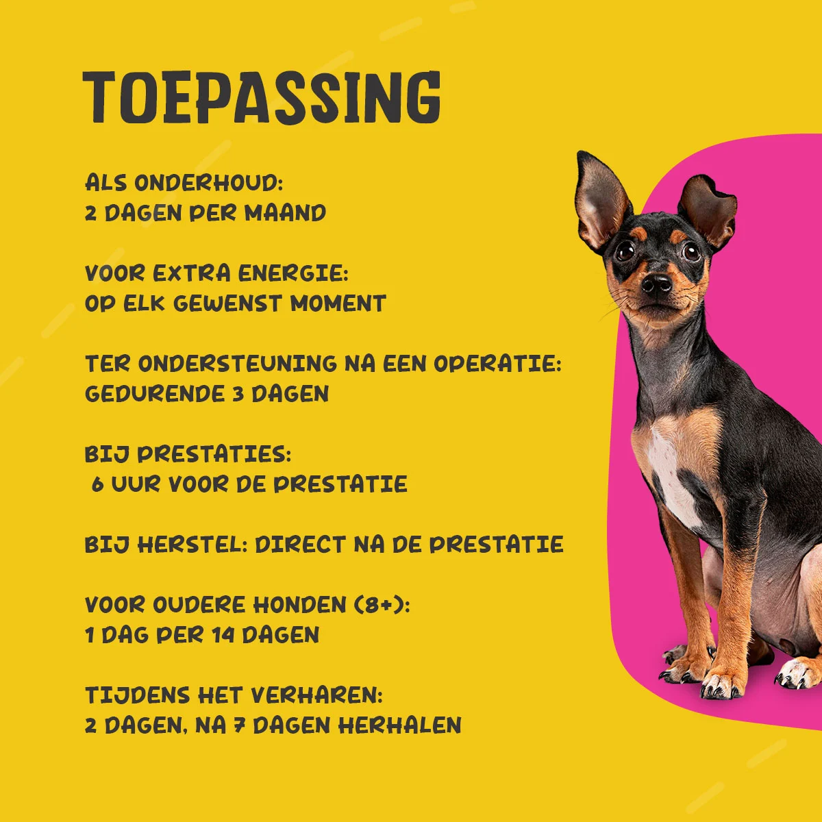 Complément liquide pour chiens avec vitamines, 50 ml – Excellent Pets Vital Total – Image 3