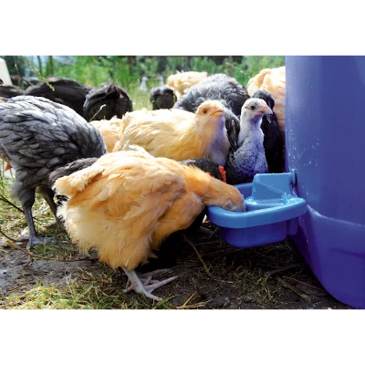 DRIN2202.png Abreuvoir pour poules en plastique 0,5 l – Image 1