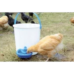 Abreuvoir pour poules en plastique 0,5 l – Image 2