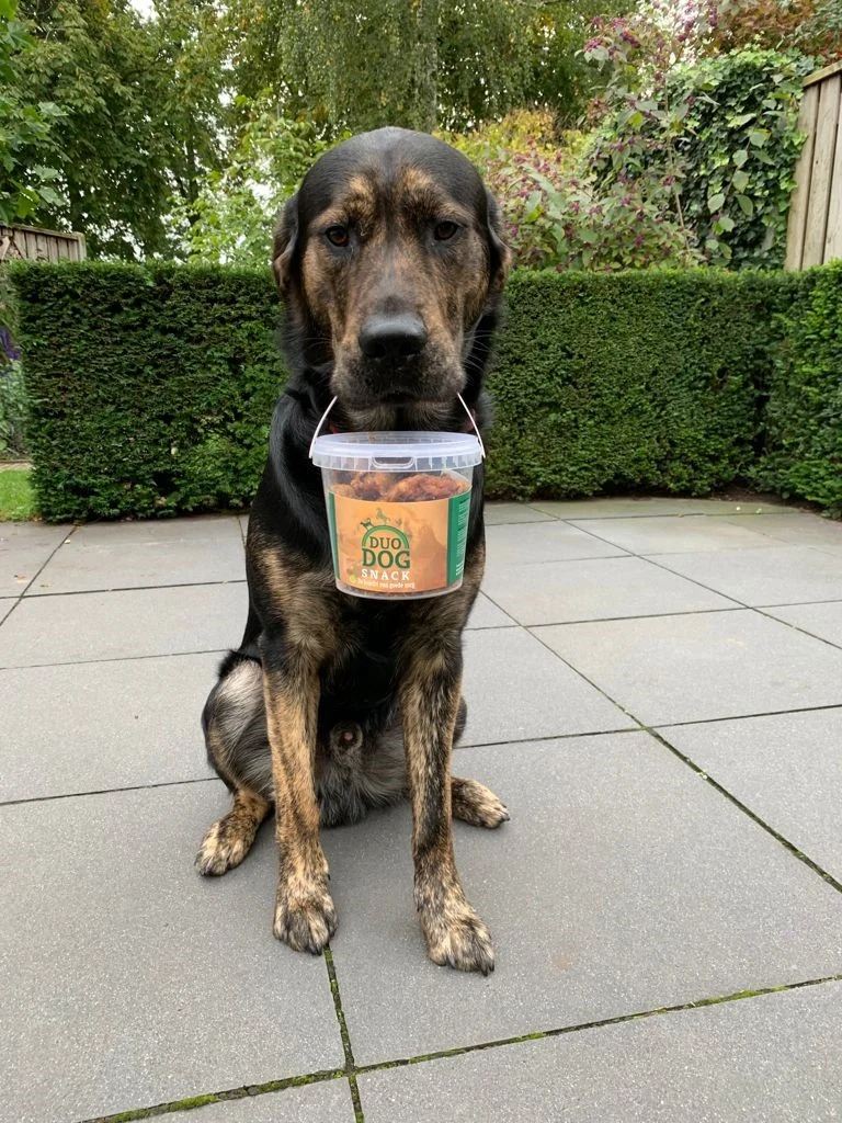 Friandise pour chien à 100% de graisse de cheval fondue, env. 350 g – Duo Dog Snack – Image 2