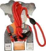 Harnais pour chien avec laisse en corde, rouge – Easy Walk modèle à main – Image 2