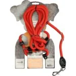 Harnais pour chien avec laisse en corde, rouge, Regular 345 cm – Easy Walk, modèle épaulière – Image 2