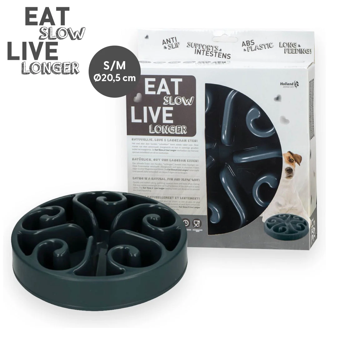 EATS004_01.jpg Gamelle anti glouton pour chiens à motif en spirale, S 20,5 x 5 cm, grise – Eat Slow Live Longer Original – Image 1