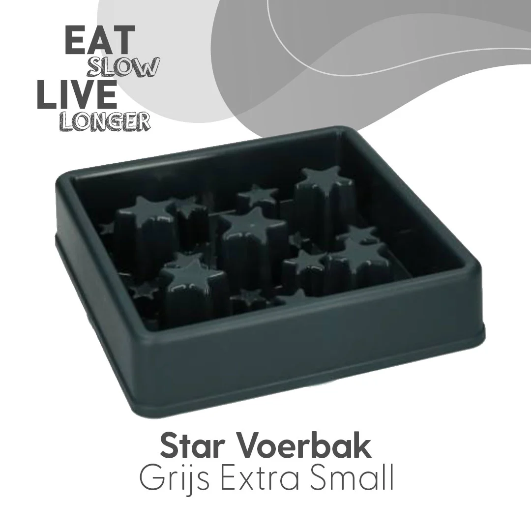 Gamelle anti glouton pour chiens à motif en forme d’étoile, XS 14 cm, grise – Eat Slow Live Longer Star – Image 2