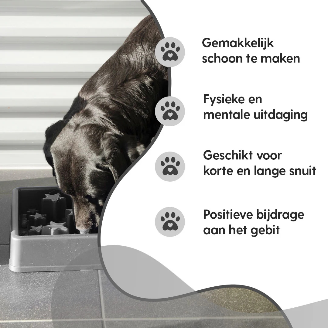 Gamelle anti glouton pour chiens à motif en forme d’étoile, XS 14 cm, grise – Eat Slow Live Longer Star – Image 4
