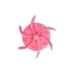 Insert anti-glouton pour gamelle pour chien avec ventouses, rose L, diamètre du fond 14,5 cm – Eat Slow Live Longer Gobble Stopper – Image 2