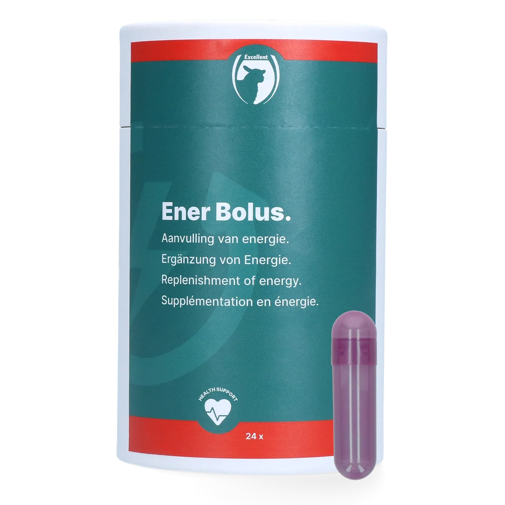 Bolus énergétique pour moutons et chèvres, 24 pièces – Excellent Ener Bolus Schaap & Geit – Image 1