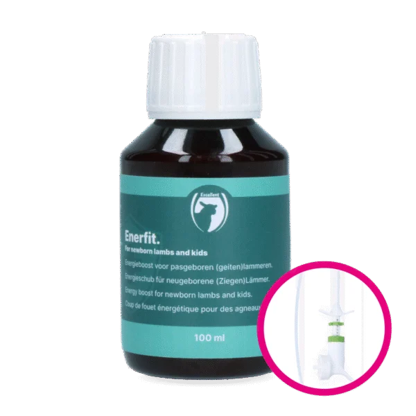 Complément énergétique pour agneaux nouveau-nés, 100 ml – Excellent Enerfit agneau/chèvre
