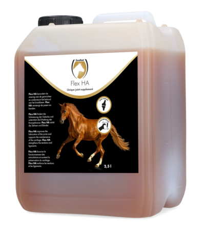 Complément pour les articulations des chevaux à base de glucosamine et de MSM, 2,5 l – Excellent Horse Flex HA