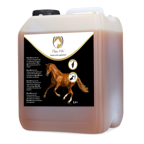 Complément pour les articulations des chevaux à base de glucosamine et de MSM, 2,5 l – Excellent Horse Flex HA
