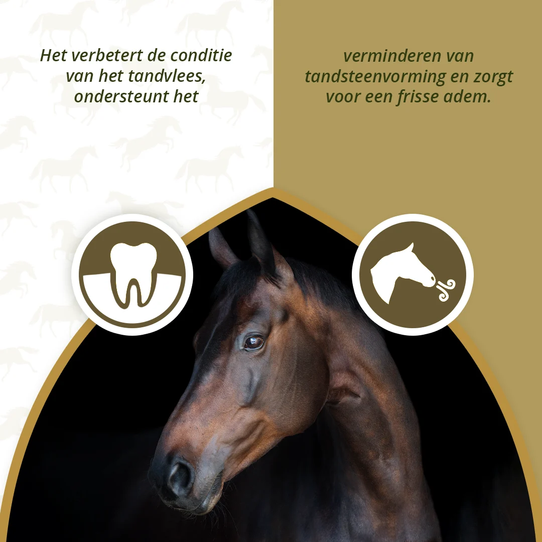 Complément dentaire pour chevaux à base de légumes et d’herbes séchés, 1 kg – Excellent Horse Dental Care – Image 3