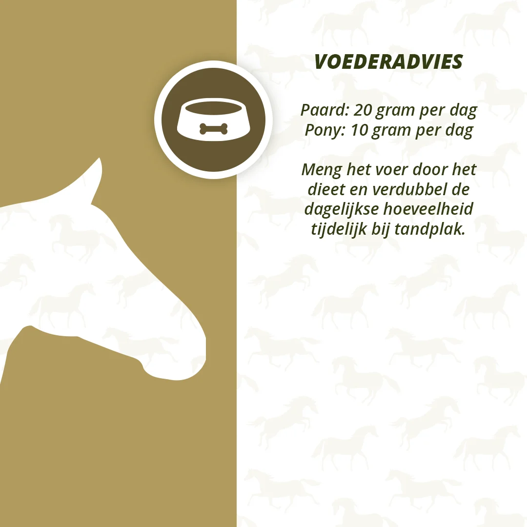 Complément dentaire pour chevaux à base de légumes et d’herbes séchés, 1 kg – Excellent Horse Dental Care – Image 4