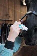 Éponge neutralisant les odeurs pour chevaux aux huiles essentielles, 75 ml – Excellent Horse Odour Spons-On – Image 4