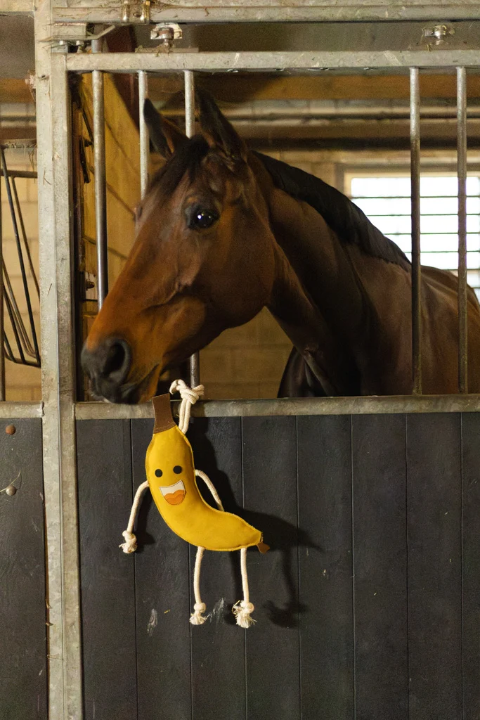 Jouet de box pour chevaux en cuir garni de jute, banane, 40 x 12 x 5 cm – Excellent Horse Foodie Friends Banana – Image 3