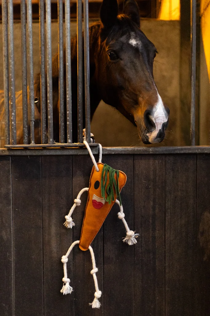 Jouet de box pour chevaux en cuir avec garnissage en jute, carotte, 40 x 16 x 5 cm – Excellent Horse Foodie Friends Carrot – Image 3