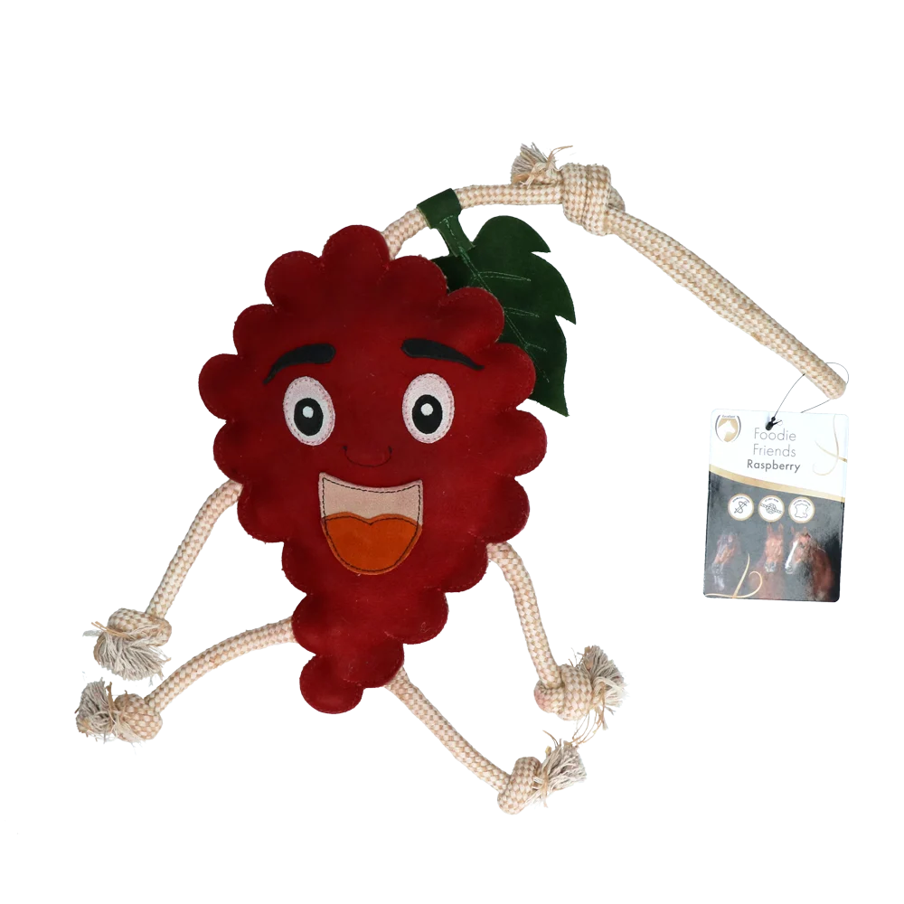 Jouet pour cheval en forme de framboise avec rembourrage en jute, 29 x 20 x 5 cm – Excellent Horse Foodie Friends Raspberry – Image 1