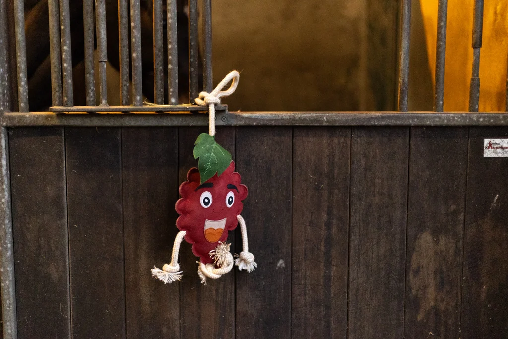 Jouet pour cheval en forme de framboise avec rembourrage en jute, 29 x 20 x 5 cm – Excellent Horse Foodie Friends Raspberry – Image 3