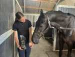 Biscuits pour chevaux à la pomme, 500 g – Excellent Horse Ambachtelijke Paardenkoekjes Appel – Image 4