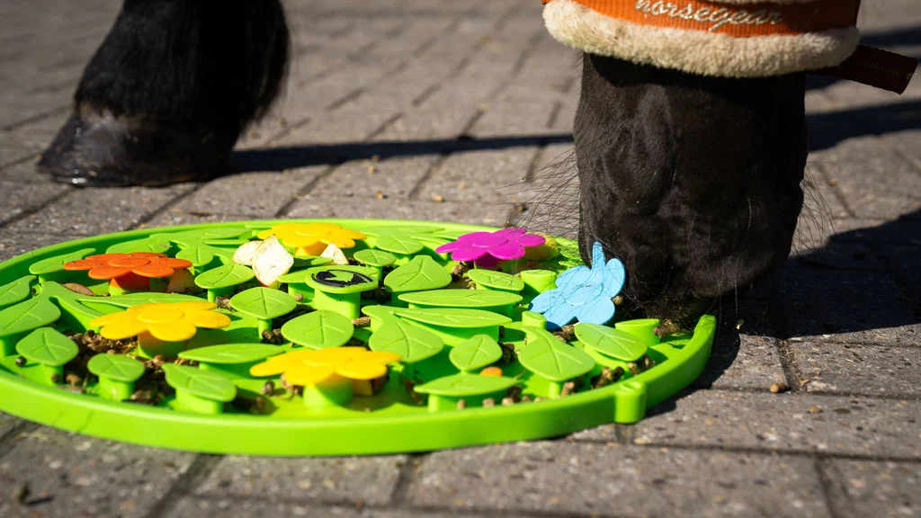 Tapis de fouille pour chevaux pour aliments et friandises – Excellent Horse Snuffle Mat Flower Power – Image 3
