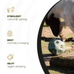 Balle distributrice pour chevaux avec ouvertures, verte – Excellent Horse Feed & Play Ball – Image 6