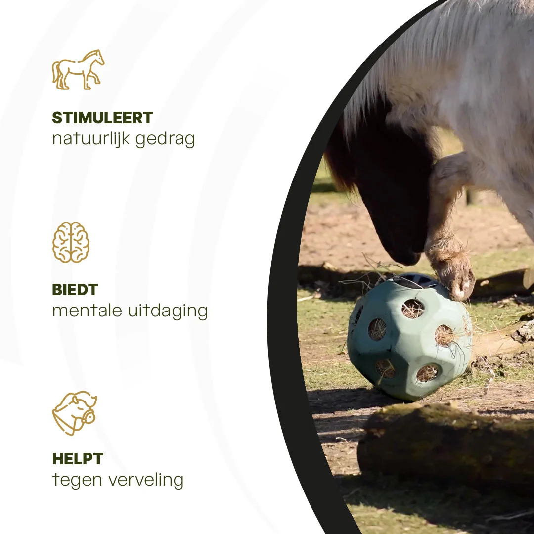Balle distributrice pour chevaux avec ouvertures, verte – Excellent Horse Feed & Play Ball – Image 6