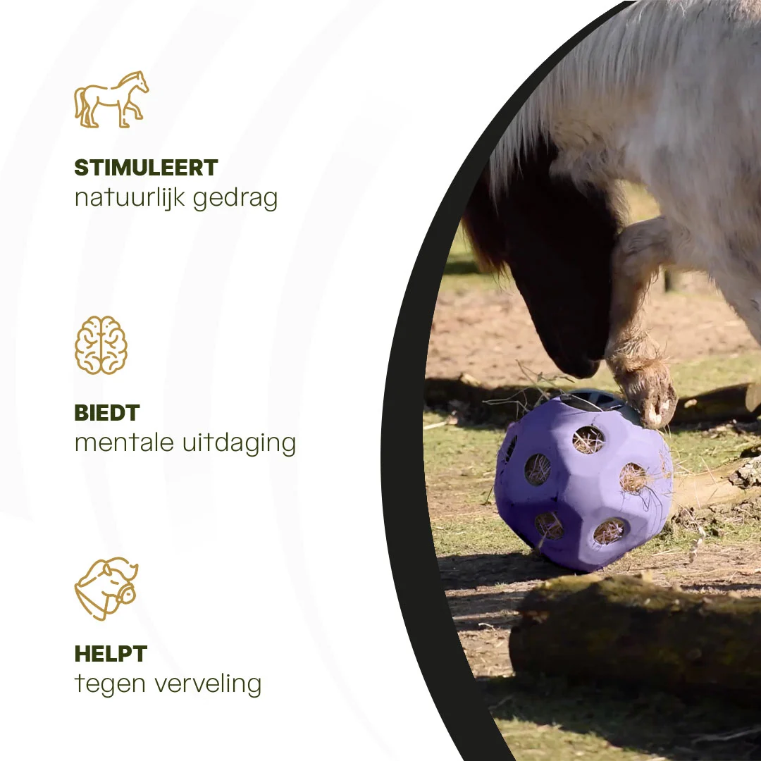 Balle distributrice pour chevaux avec ouvertures, violette – Excellent Horse Feed & Play Ball – Image 6
