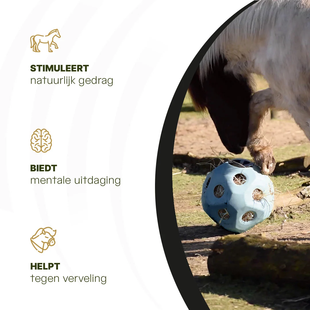 Balle distributrice pour chevaux avec ouvertures, bleue – Excellent Horse Feed & Play Ball – Image 6