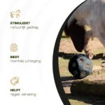Balle distributrice pour chevaux avec ouvertures, noire – Excellent Horse Feed & Play Ball – Image 6