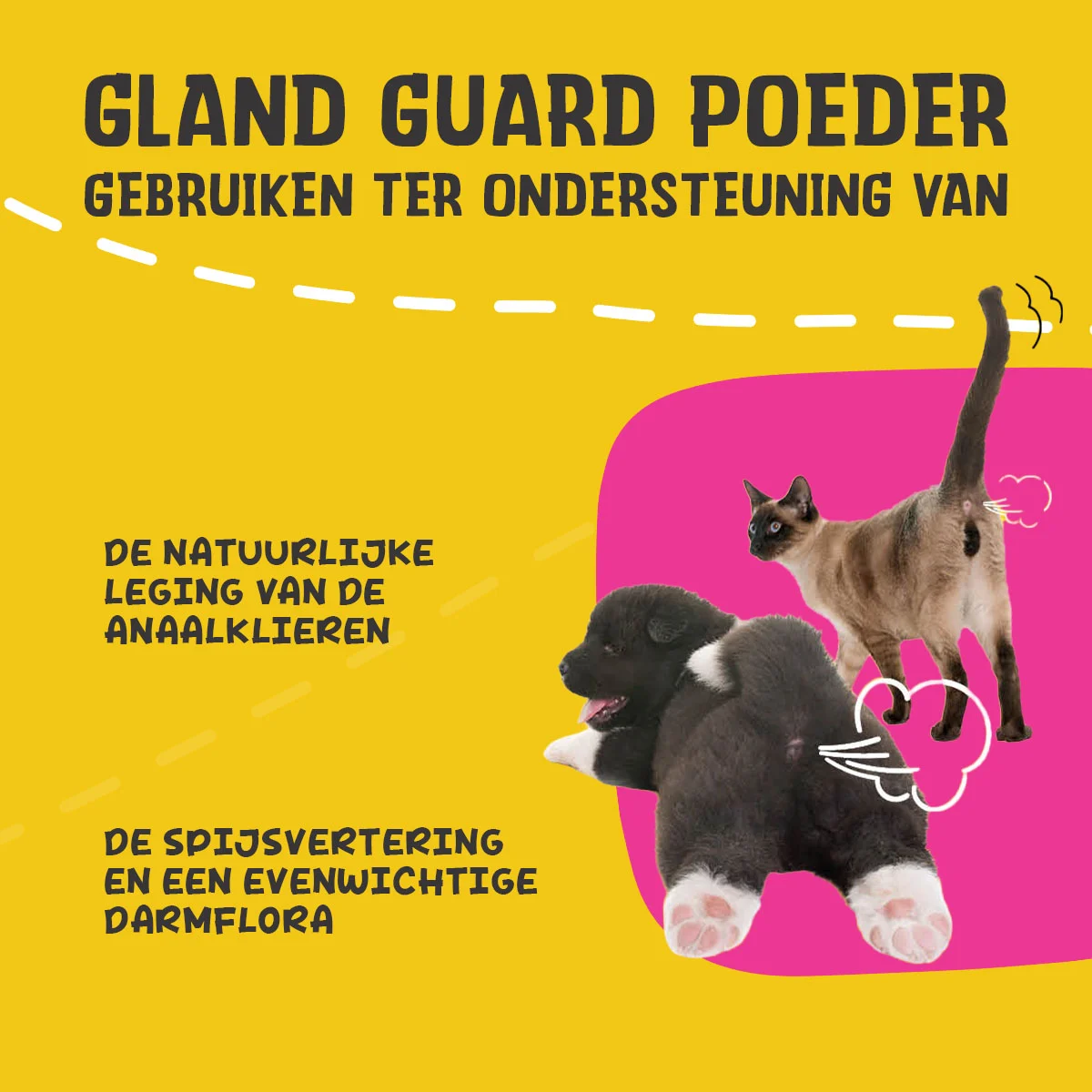Poudre complémentaire pour chiens et chats avec prébiotiques et probiotiques – Excellent Pets Gland Guard Poeder – Image 3