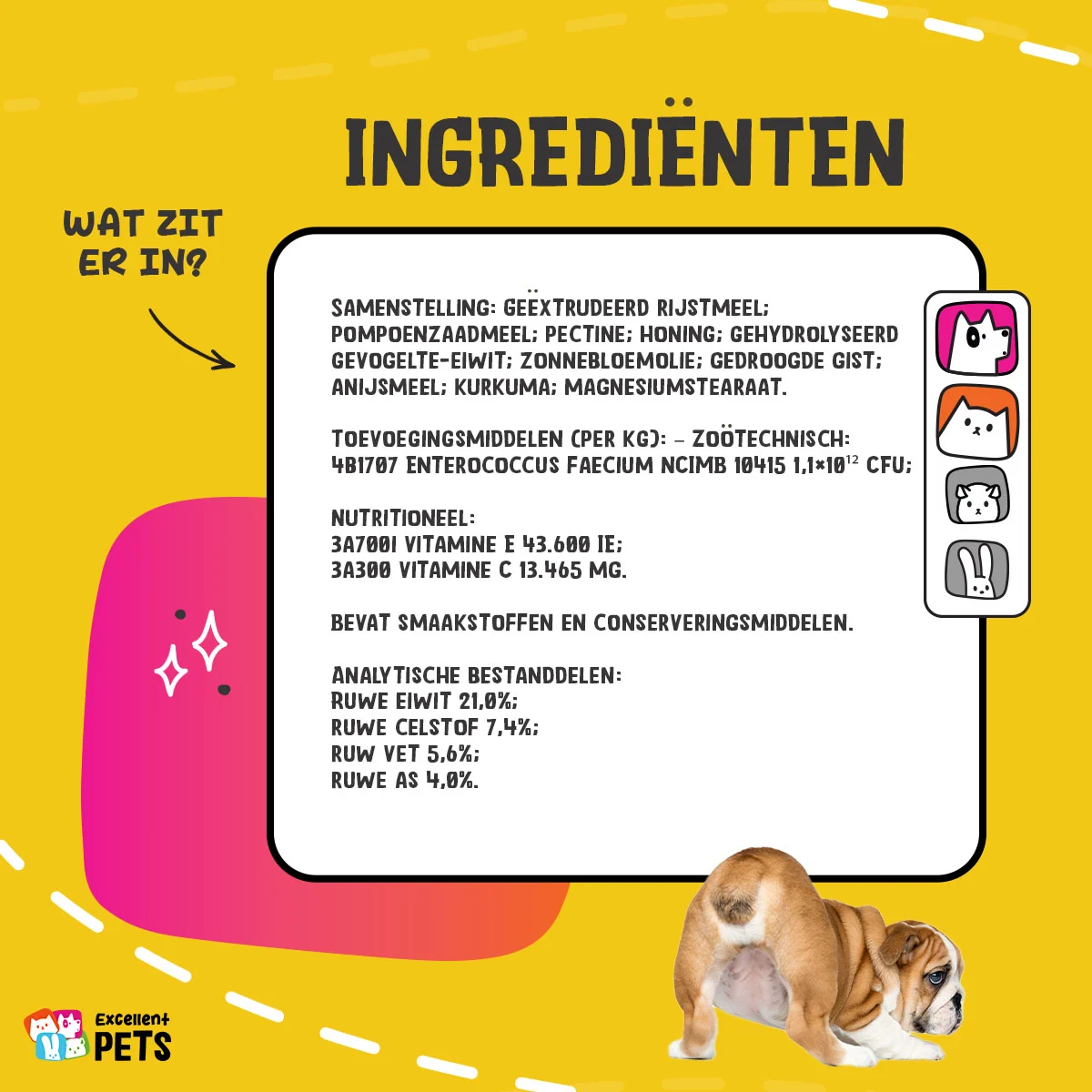 Poudre complémentaire pour chiens et chats avec prébiotiques et probiotiques – Excellent Pets Gland Guard Poeder – Image 5