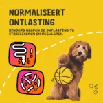 Pâte digestive pour animaux de compagnie avec électrolytes, 30 ml – Excellent Pets Digestive Support – Image 6