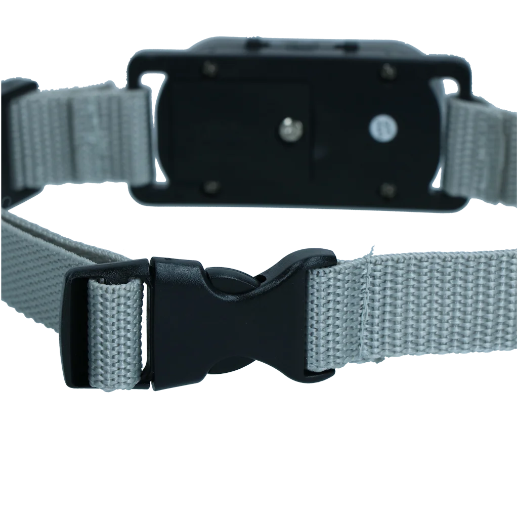 Collier anti-aboiement avec son et vibrations – Excellent Pets Bark-Stop Collar – Image 4