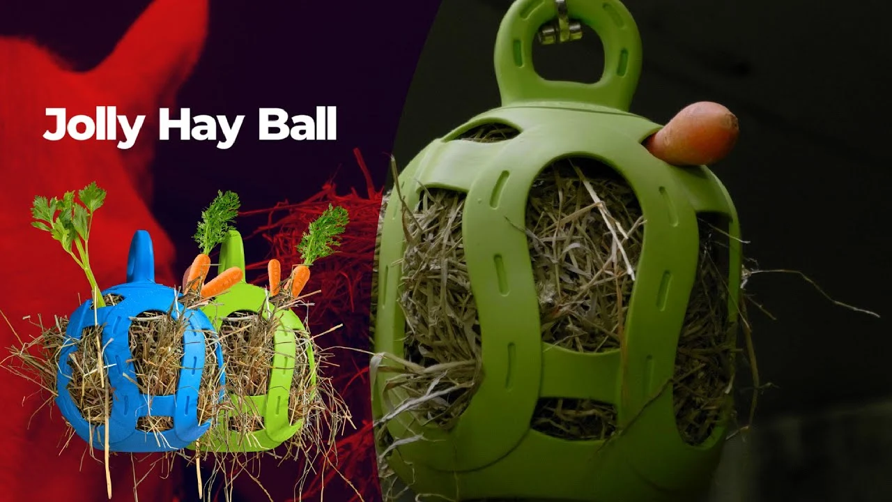 Balle à friandises pour chevaux en caoutchouc souple, verte, 20 cm – Jolly Pets Jolly Hay Ball – Image 3